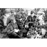 Командирская полевая сумка образца 1941 года, РККА